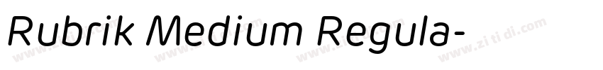 Rubrik Medium Regula字体转换